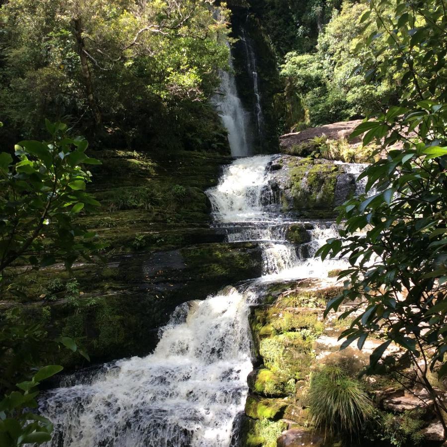 Catlins Retreat B & B Owaka Eksteriør bilde